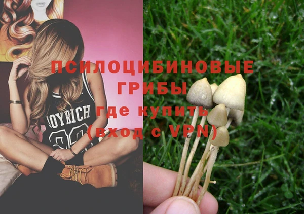 меф Арсеньев